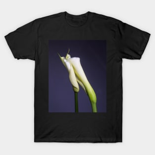 Calla Lilies - Tender Touch T-Shirt